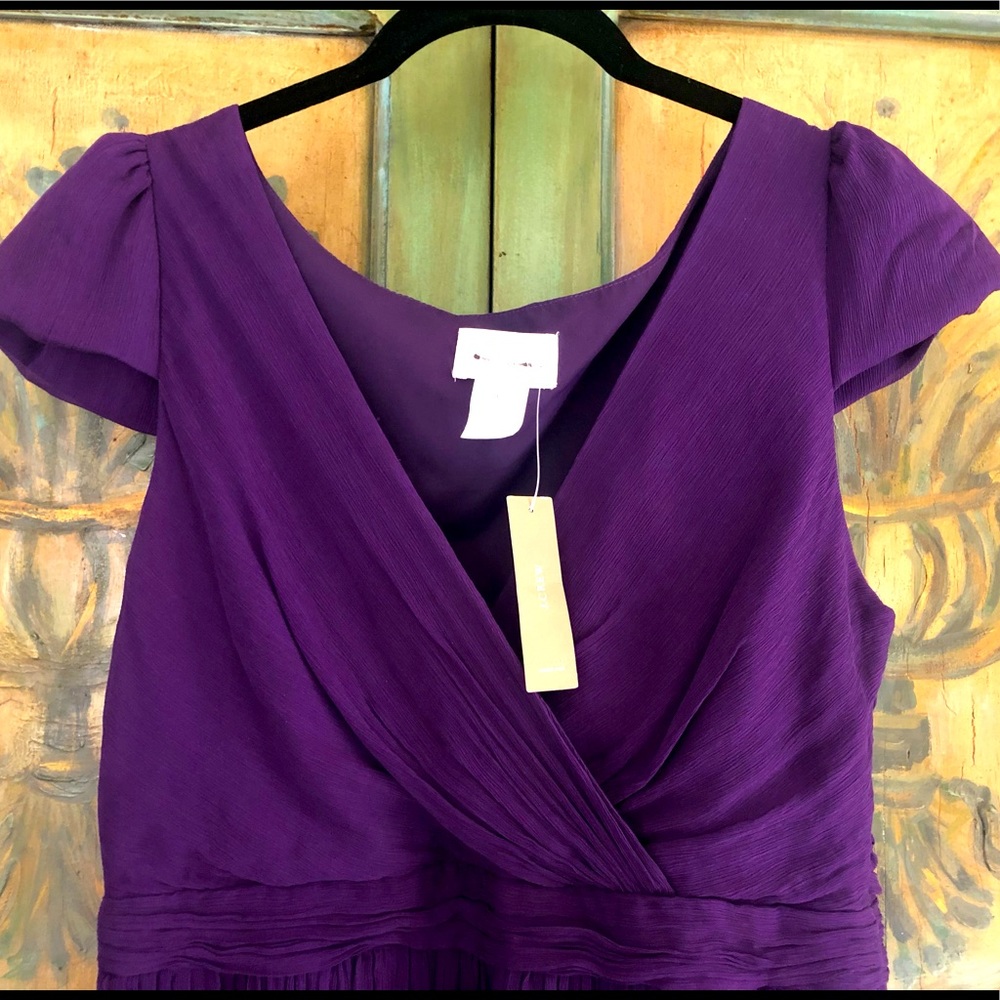 Gorgeous Plum Silk Chiffon JCrew Dress